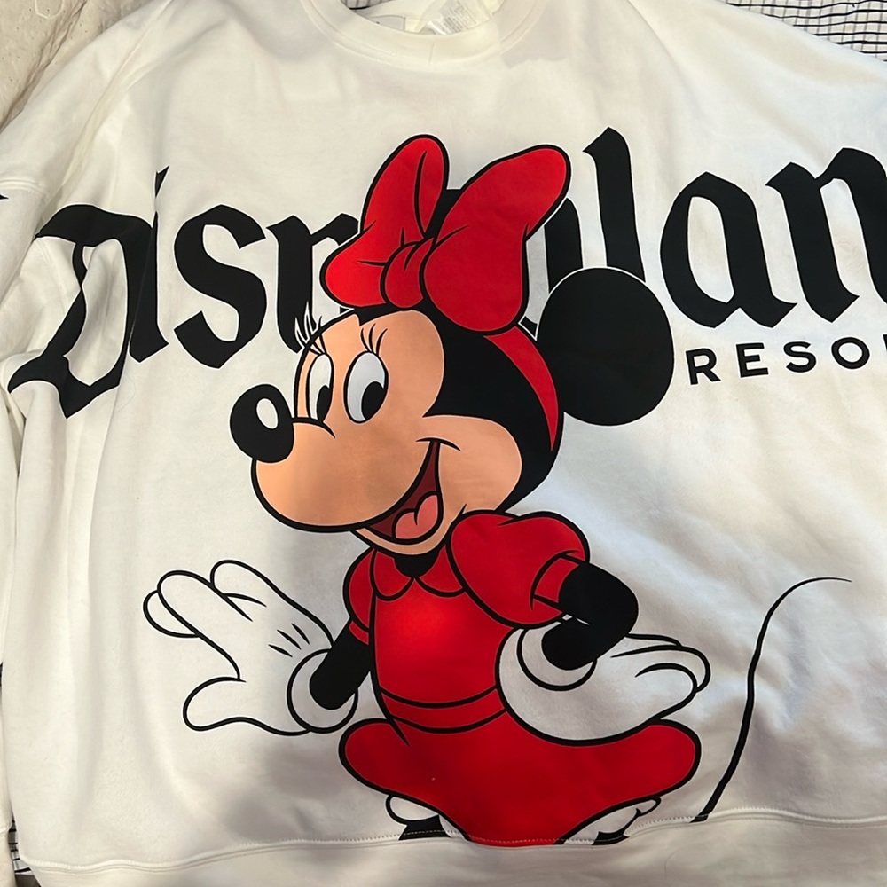 Disneyland sweatshirt